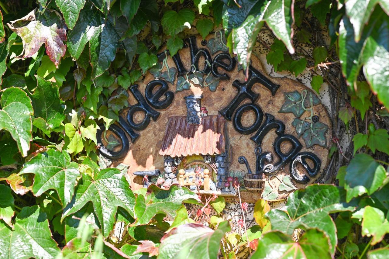The Olde Forge B & B Caherdaniel Esterno foto